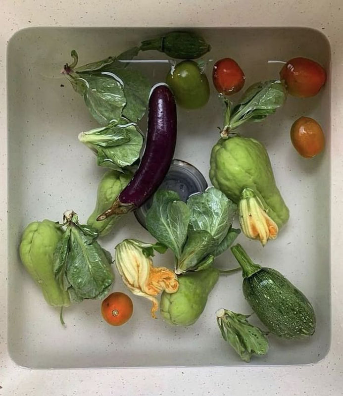 garden vegetables in water