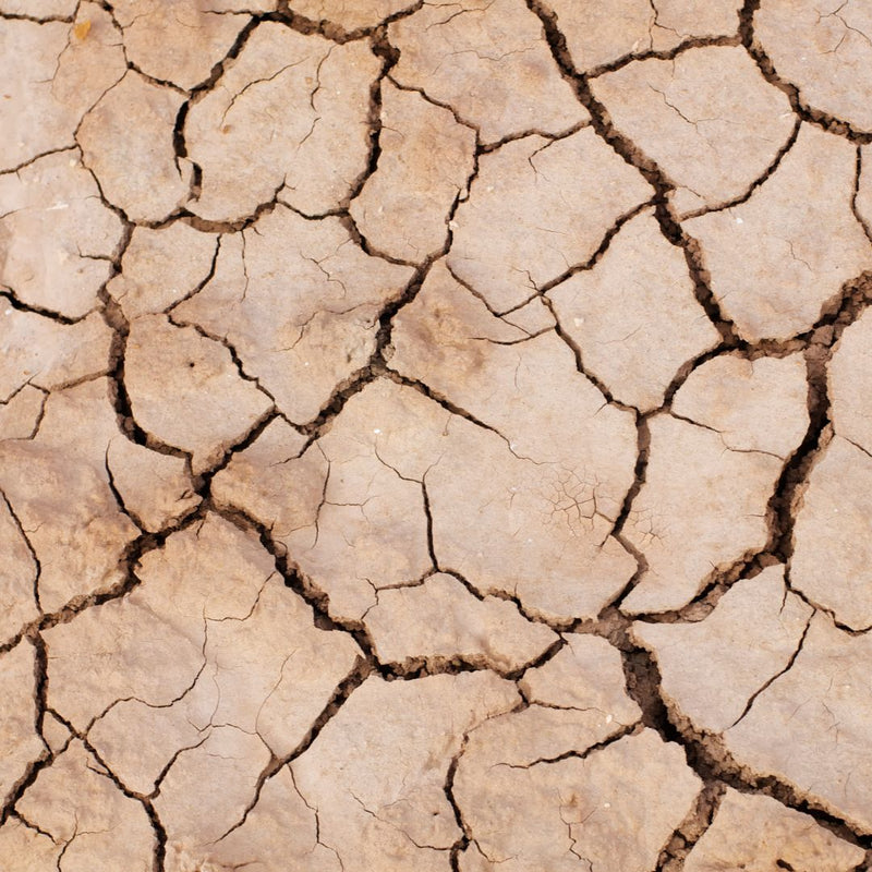 dry cracked earth