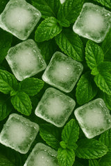 Jones Nicotine Mints vs Lucy Pouches, Gum & Breakers