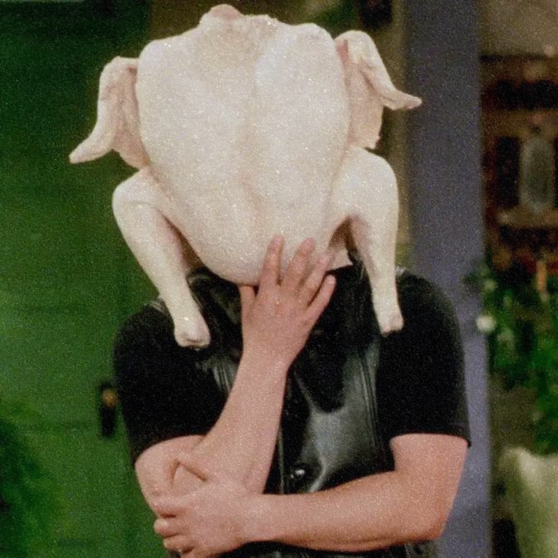 joey from friends with a raw turkey on his head