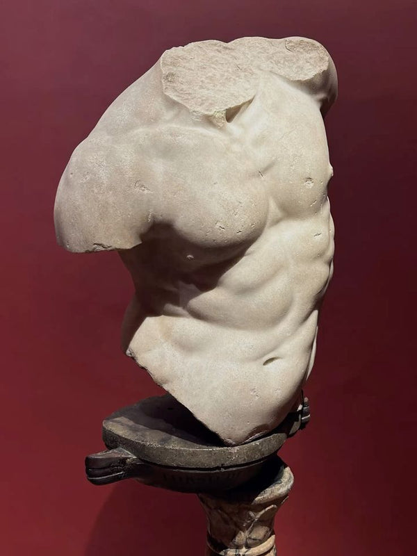male bust muscular sculpture