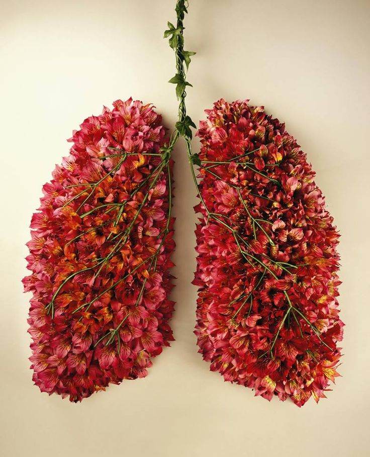 orange flowers form lung shape