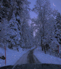 Why Winter Makes Nicotine Cravings Stronger (and How to Beat Them)